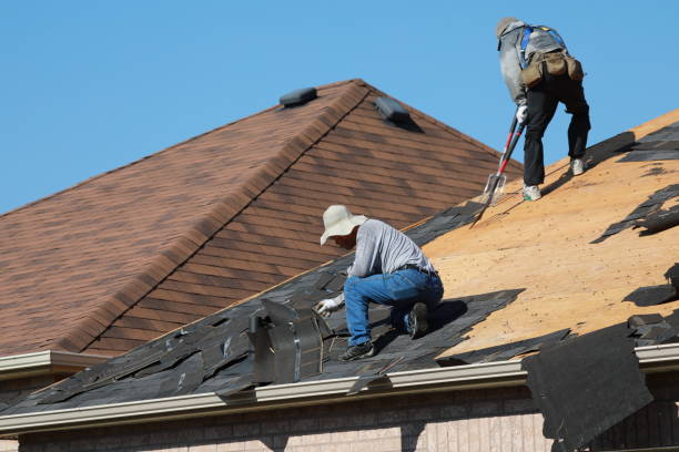 Best Storm Damage Roof Repair  in Rio Hondo, TX