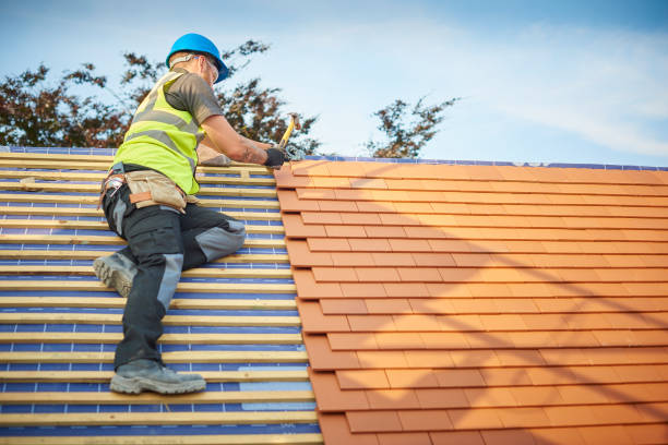 Best Asphalt Shingles Roofing  in Rio Hondo, TX